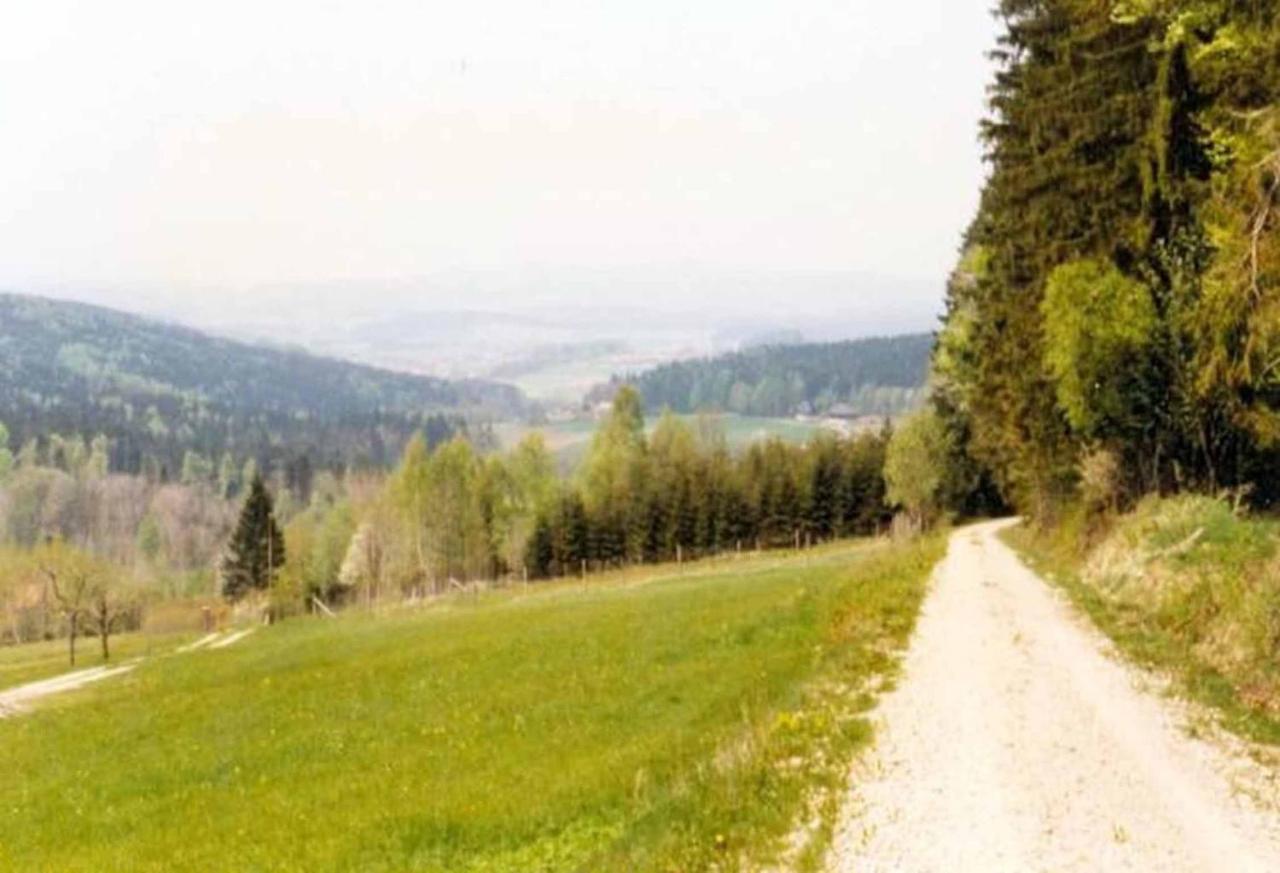 Ferienpension Posthof Waldmünchen Dış mekan fotoğraf